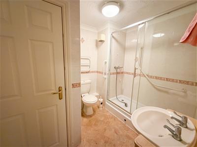 Picture 8